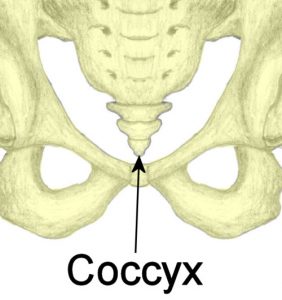 coccydynia-symptoms-of-coccydynia