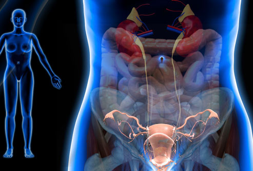 varicoza unui mic organe pelvine în timpul sarcinii)